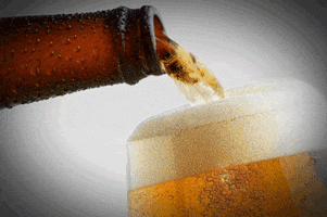 andrevaz bear cerveja fds sextafeira GIF