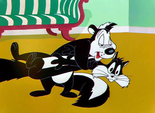 Pepe Le Pew GIFs - Get the best GIF on GIPHY