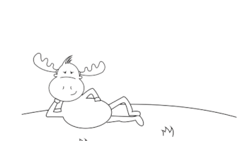 wild  GIF