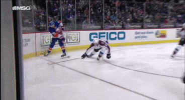 michelanderson new york islanders GIF