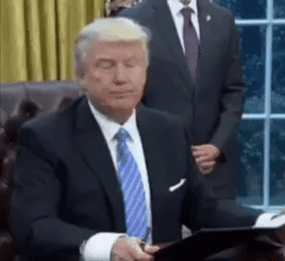 louisbarr  GIF