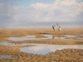 levisim  GIF