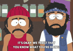 Confused Cheech And Chong GIF by South Park