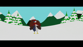confused bird GIF by South Park 