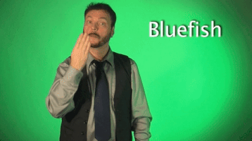 sign language bluefish GIF by Sign with Robert