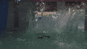 Wipeout Leroy Patterson GIF by The Human Tackboard