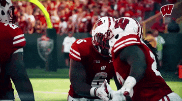 Happy College Football GIF by Wisconsin Badgers
