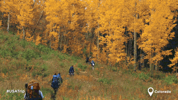 Great Outdoors Fall GIF by Go USA IN