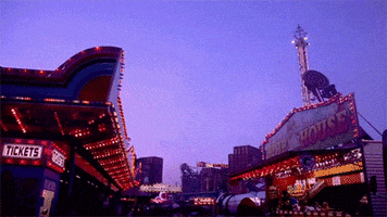 amusement park summer GIF by Hardly Art