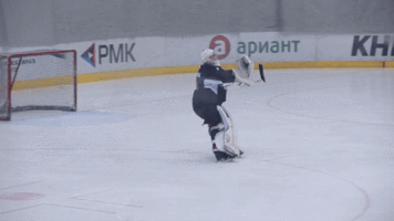vinalapkes  GIF
