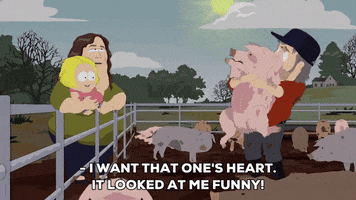 pig slaughter GIF by South Park 