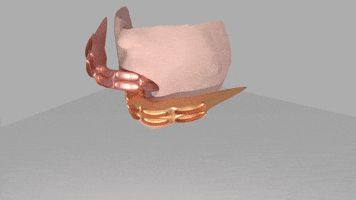 loulawlor  GIF