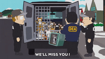 cats shelter GIF by South Park 