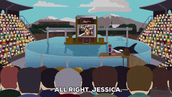 killer whale show GIF by South Park 
