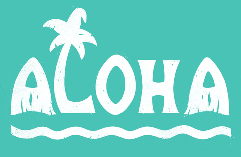 hawaii meaning, definitions, synonyms