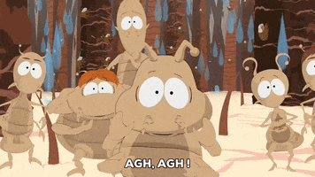 panic lice GIF by South Park 
