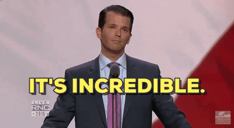 its incredible donald trump jr GIF by Election 2016
