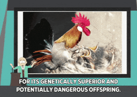 200.gif?cid=fc005b083544350789c7673ba3c8ee348ffd1df851f35e48&rid=200.gif&ct=g