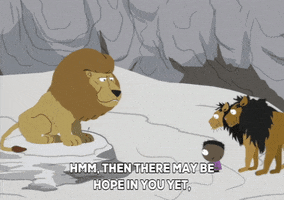 token black zoo GIF by South Park 