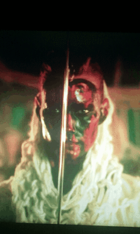 tafa vikings GIF