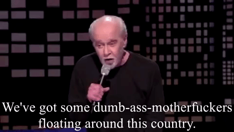 theanomaloushost george carlin GIF