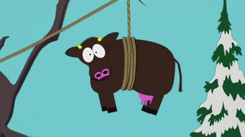 cow hanging GIF by South Park 