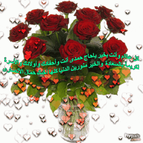 gamal  GIF