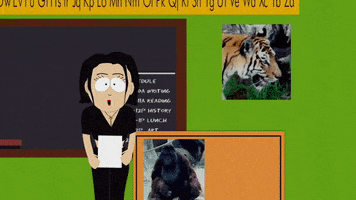 200.gif?cid=fc005b0869e8ea8cf760ffcccaf95619252cf5aab6fc8d24&rid=200.gif&ct=g