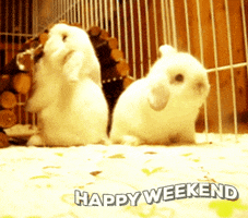 nerdsfun weekend GIF