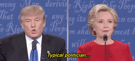 sounds good donald trump GIF by Election 2016
