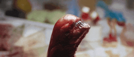 yuliabogachenko  GIF