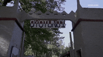 GIF by VICE DOES AMERICA