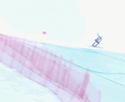 talbotbohemiacardinal  GIF