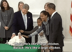barack obama chicken GIF by Obama