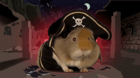 Image result for pirate going arrr gif