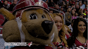 hockey popcorn GIF by Arizona Coyotes