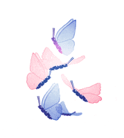 Animated Butterflies GIFs - Find & Share on GIPHY