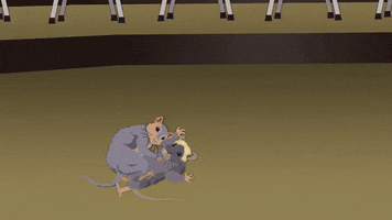 rat fight fighting GIF by South Park 