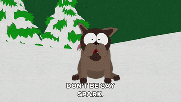 Dont Be Gay Bow Wow GIF by South Park