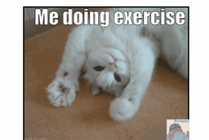 mrperkele #exercise GIF