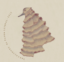 danielagallego illustration calendar lulofebril GIF