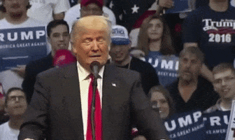 Political gif. At a rally for himself, Donald Trump makes a dismissive gesture.
