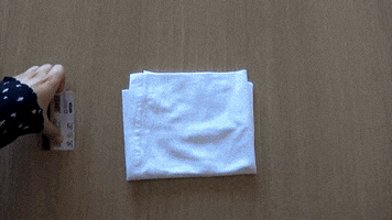 paulamolina  GIF