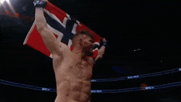 ufc 206 norway GIF