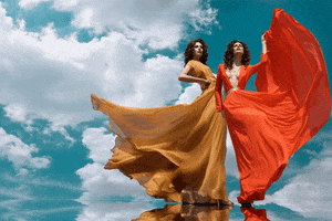 plotagraphpro plotagraph GIF