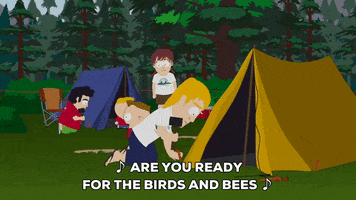 camping set up GIF by South Park 