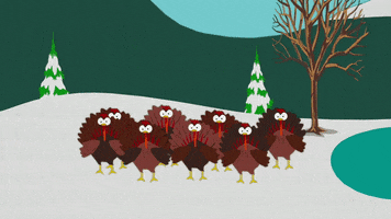 turkey GIF by South Park turkey GIF by South Park