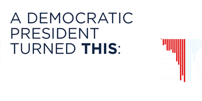 democrats  GIF