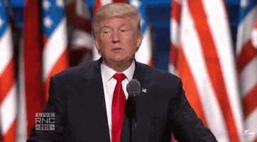 Donald Trump Thumbs Up GIF by Election 2016