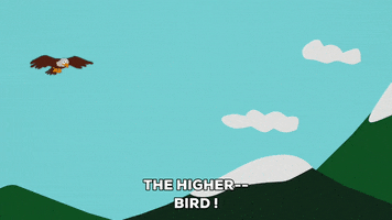 bird fly GIF by South Park 